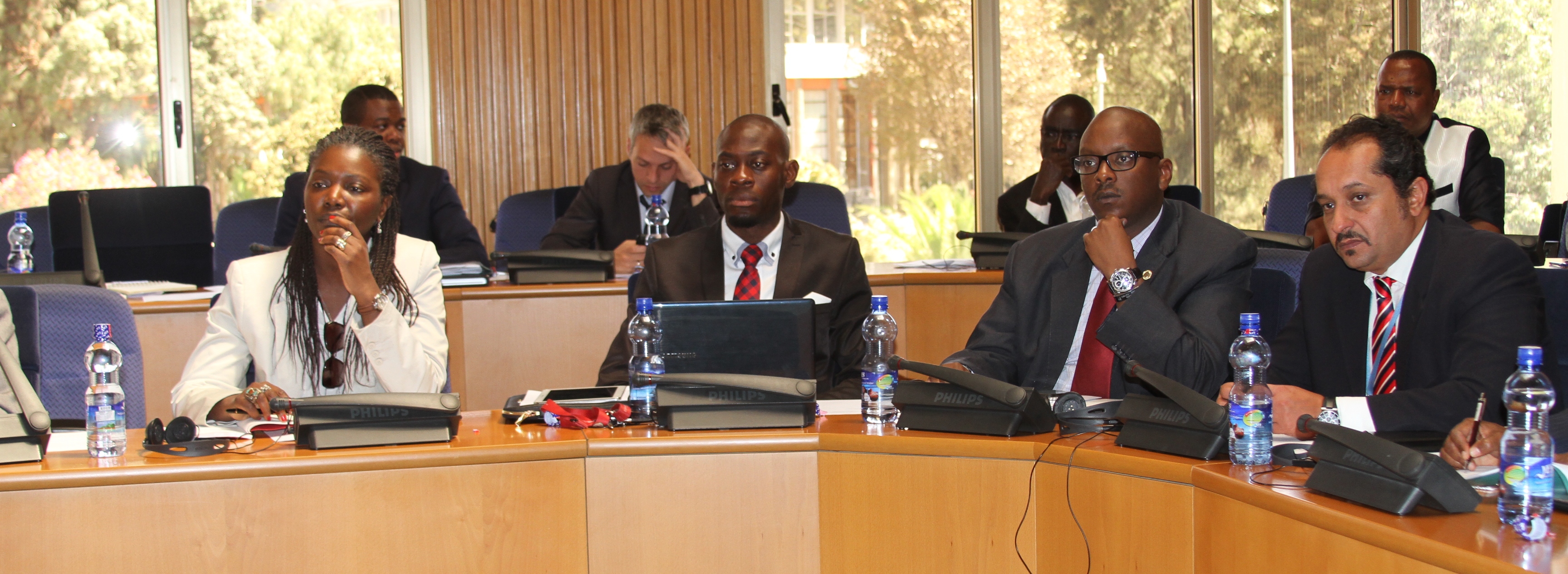 Interaction between the AUC & the UN Panel on the review of UN operations at the AU HQ