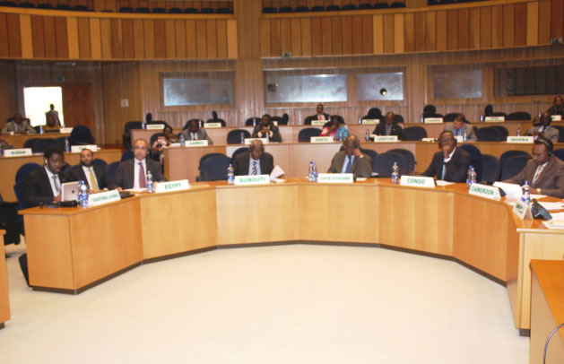 Peace and Security Council Members in attendance  